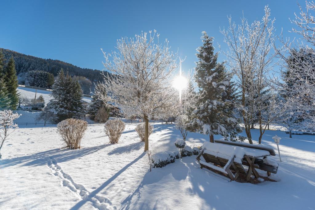 Parkvilla Vital Schladming Exterior foto